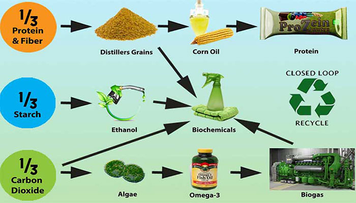 Extracting real value from the Ethanol Industry