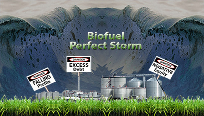 Biofuels Perfect Storm